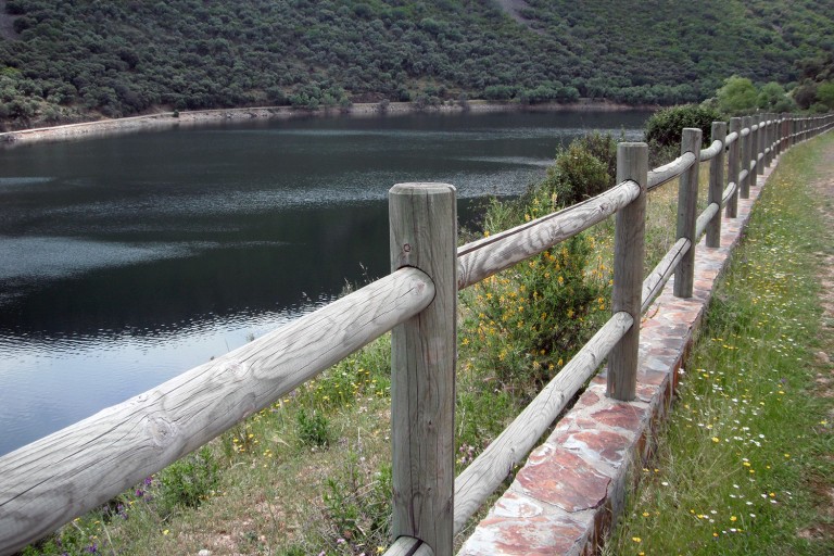 Ecosistema natural regado por el río Tajo