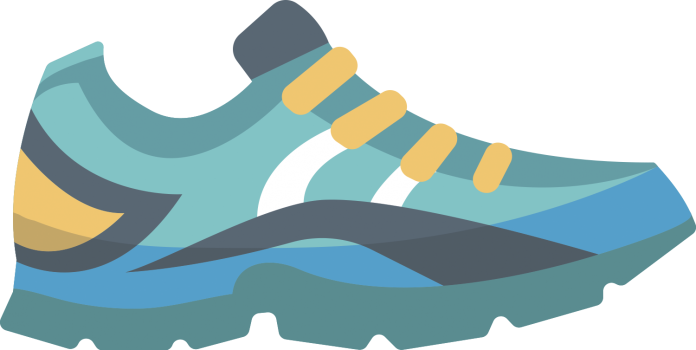 zapatilla