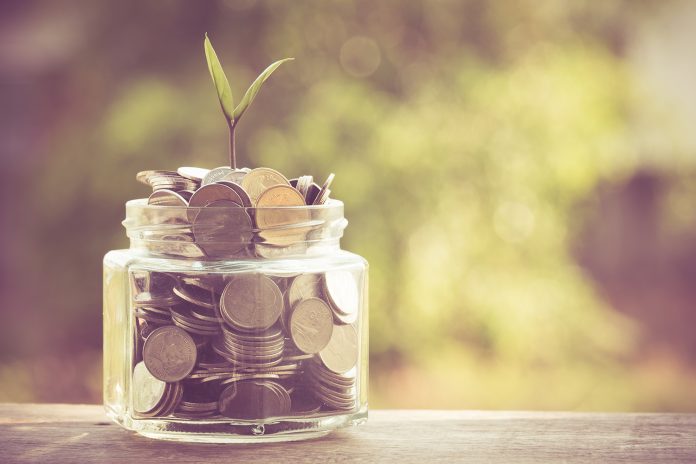 plant growing out of coins