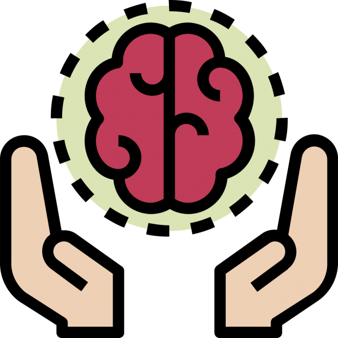 brain