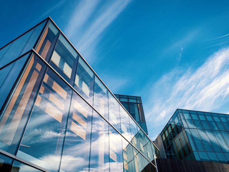 Innovación y competitividad empresarial