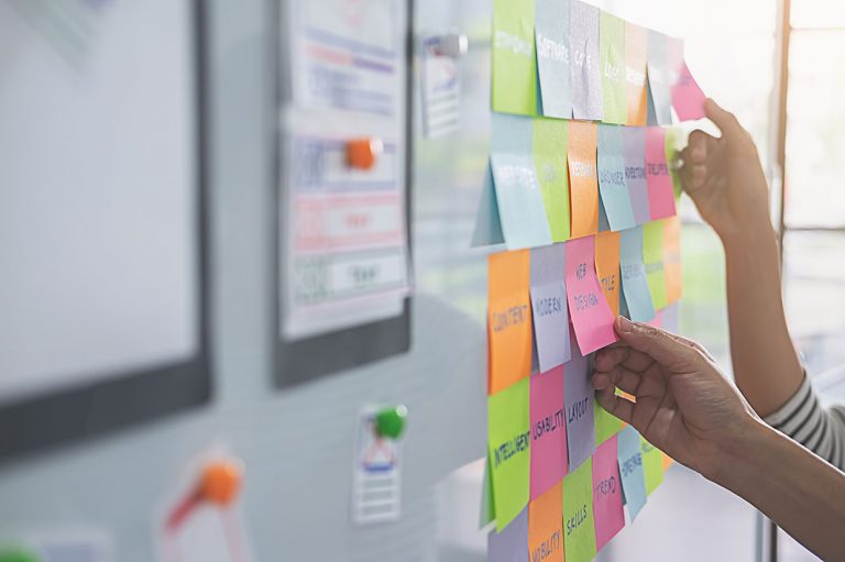 Modelos rentables, productivos y sostenibles