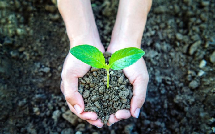 impacto-medioambiental-y-consumidores Impacto medioambiental y consumidores