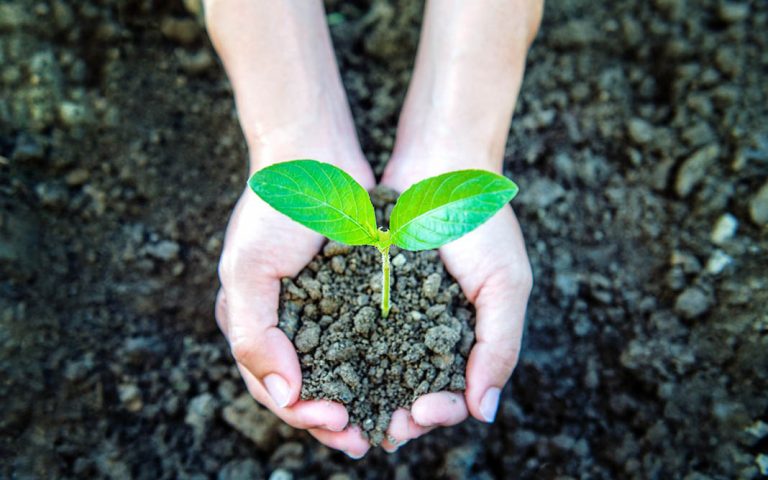 Impacto medioambiental y consumidores