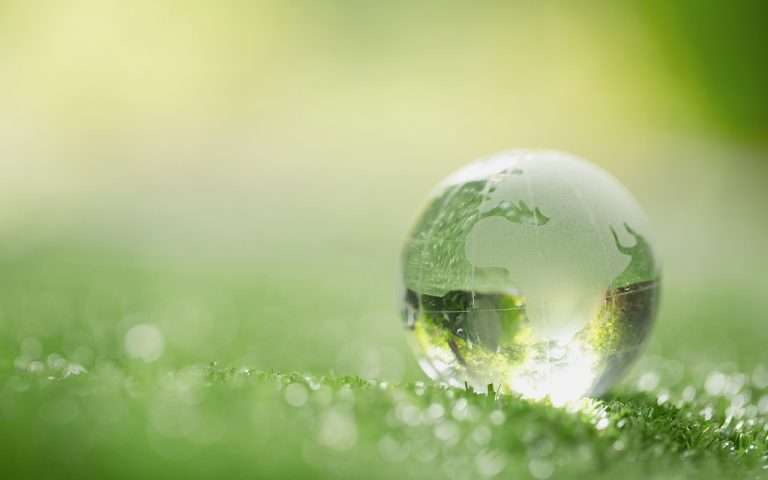 Medio ambiente