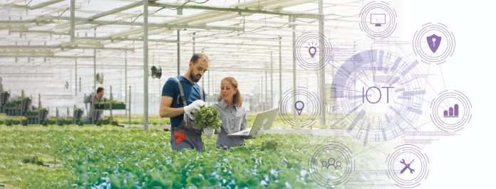 iot-agricultura Plataforma middleware