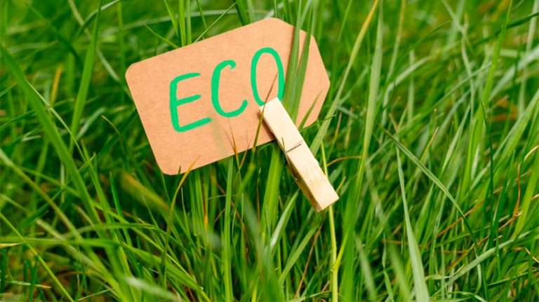 Hipocresía verde y economía