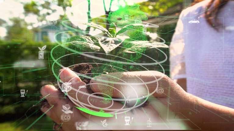 Economía circular con un objetivo de rentabilidad
