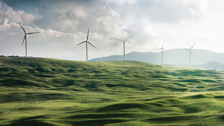 Digitalización y energías renovables